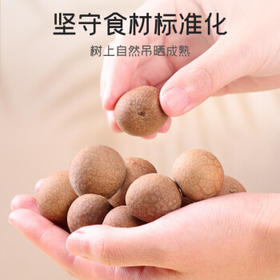 富昌 大桂圆干500g龙眼桂圆肉干 精选大果直径约25-27mm 福建特产干货