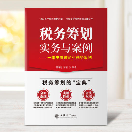 税务筹划实务与案例——一本书看透企业税务筹划 商品图1