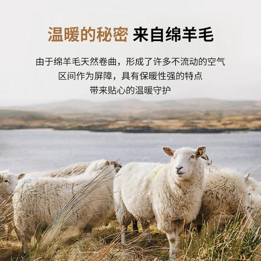 【70%绵羊毛】【新款DAB】大依优型大码男装羊毛呢双面呢大衣大衣外套手工呢子中长款胖子休闲男士 商品图2