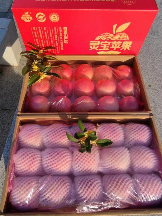 灵宝寺河山苹果 河南三门峡富硒红富士SOD脆甜冰糖心苹果中秋礼品 10斤大果20枚左右 商品图4