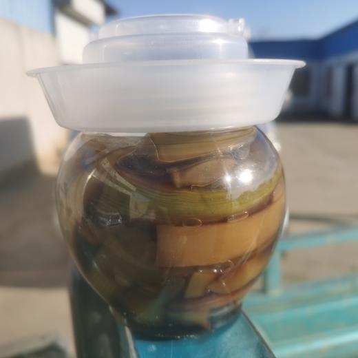 莴苣小菜（六两） 商品图0