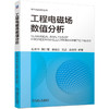 工程电磁场数值分析 杜志叶 阮江军  张亚东 文武  袁佳歆 9787111733867 机械工业出版社 商品缩略图0