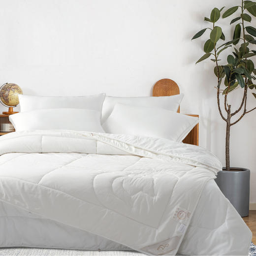 水星家纺 雅克澳毛柔丝子母被800g+1200g 商品图0