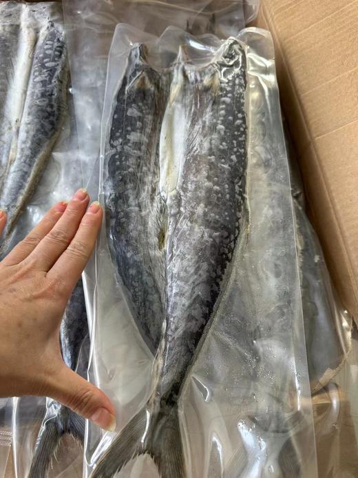 鲅鱼干晒好了，淡盐 干度好，大连湾渔家自晒鲅鱼干，全部用当地船冻10月份以后的鲅鱼晒的，自然晾晒两天，品质特别好 ，肉厚，一点不咸，又香又好吃😋收到货需冷冻保存，全国包邮（偏远地区除外） 商品图5