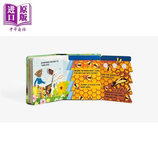 【中商原版】An Abrams Block Book Bugblock 昆虫字母立体书 英文原版进口图书 儿童绘本 动物知识科普图画书 折叠翻翻页 商品图4