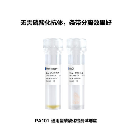 Phos-assay Acrylamide 商品图0