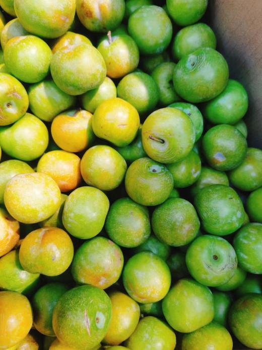 特价冰糖脆李2斤 商品图1