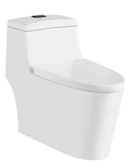 大信马桶 DXMT2237