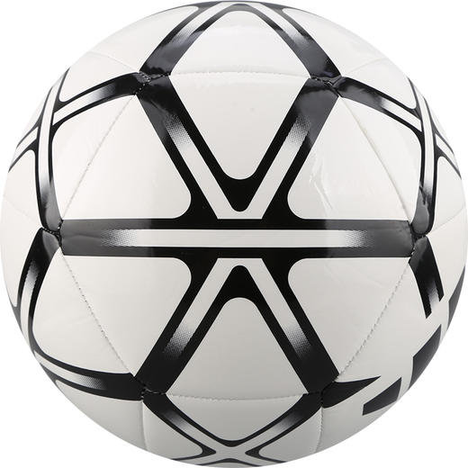 ADIDAS/阿迪达斯运动训练比赛基础款3号/4号/5号足球男IP1648 商品图1