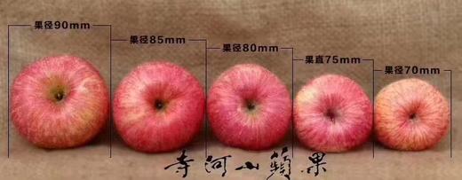 灵宝寺河山苹果 河南三门峡富硒红富士SOD脆甜冰糖心苹果中秋礼品 10斤大果20枚左右 商品图3