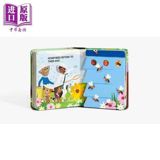 【中商原版】An Abrams Block Book Bugblock 昆虫字母立体书 英文原版进口图书 儿童绘本 动物知识科普图画书 折叠翻翻页 商品图3