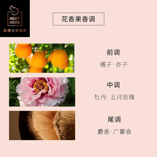 牡丹云裳 商品图2