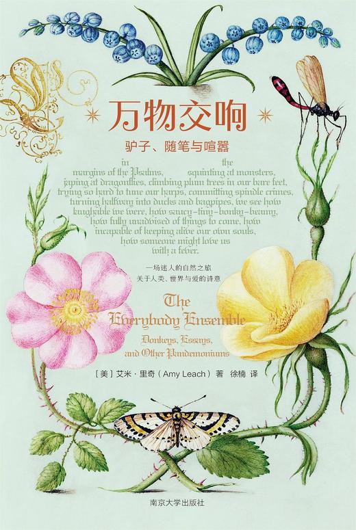 万物交响：驴子、随笔与喧嚣 商品图0