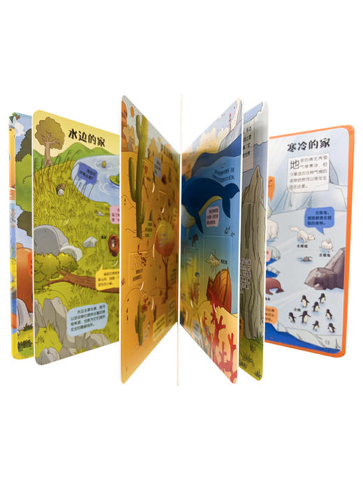 科学帮帮忙.第五辑（4册） 商品图4