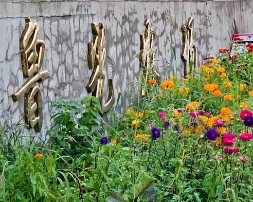 小越光米【新米】10斤/箱 商品图1