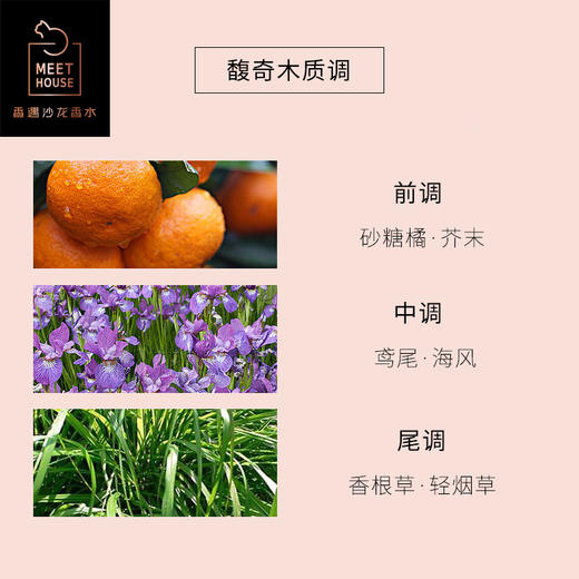 冷雾香根 商品图1