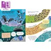 预售 【中商原版】尤斯伯恩 科普大书 Big Book of Things to Know 英文原版 儿童科普绘本 知识百科图画书 精装绘本 进口儿童读物 商品缩略图2