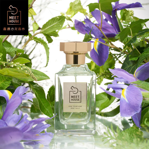 冷雾香根 商品图0