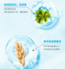 绽妍光采净透洁面乳100ml/支 商品缩略图2