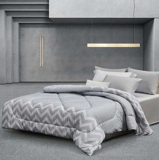 水星家纺 典雅负离子抗菌冬被2250g 内含七孔聚酯纤维和硅藻土纤维 商品图0