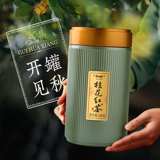 正山小种桂花红茶绿罐装120克 商品图4
