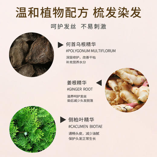 【买2发3】坚野染发梳py00318 商品图2