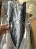 鲅鱼干晒好了，淡盐 干度好，大连湾渔家自晒鲅鱼干，全部用当地船冻10月份以后的鲅鱼晒的，自然晾晒两天，品质特别好 ，肉厚，一点不咸，又香又好吃😋收到货需冷冻保存，全国包邮（偏远地区除外） 商品缩略图3