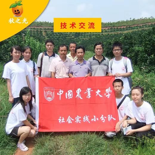 有机脐橙礼盒5kg装，果径大小70 -95 mm（商） 商品图3