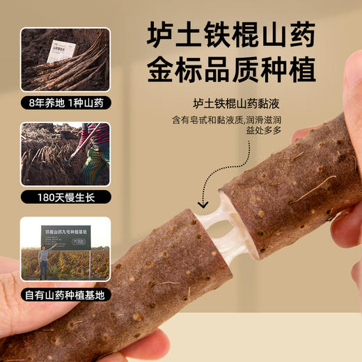 养瑞和 | 纯山药粉山药雪花片·150g·10包/盒·脾胃要养·垆土铁棍山药·无额外添加·好吸收·山药本味 商品图5