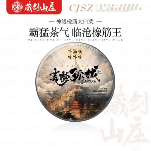 【999元精选福利专区】2023年郭少华监制 大白菜橡筋茶王青饼《云梦孤城》357克/片！5送1 商品图2