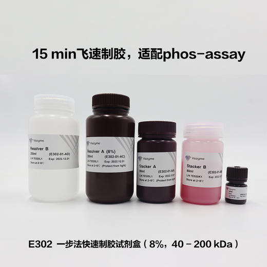 One-Step PAGE Gel Fast Preparation Kit (8%) 商品图0