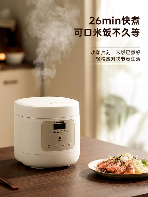 大宇迷你电饭煲FB10 商品图0