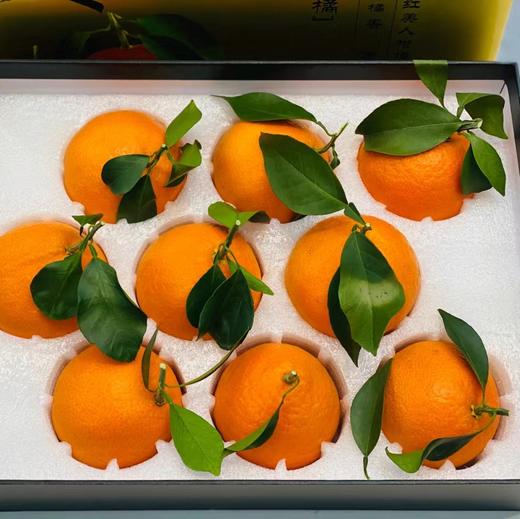 红美人橘橙🍊礼盒装 商品图0