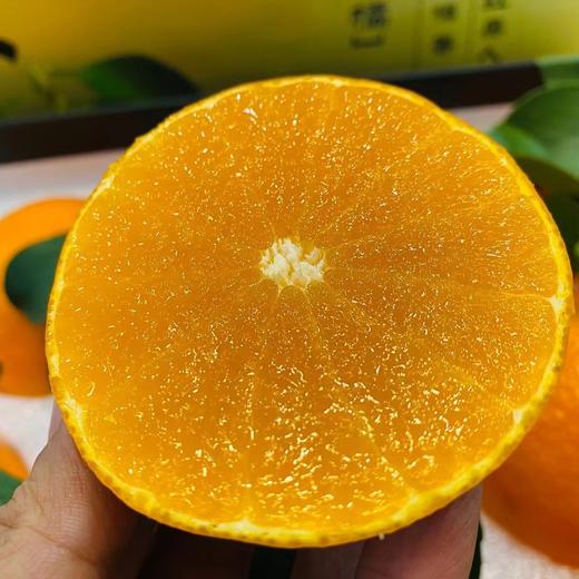 红美人橘橙🍊礼盒装 商品图5