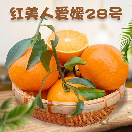 【福建·漳州 】#新品#红美人果冻橙 爱媛28号果冻橙 新鲜现摘 品质14°甜橙 商品图0