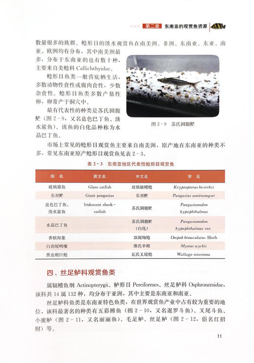 淡水观赏鱼健康养殖技术【可开发票，下单时留开票信息和电子邮箱】 商品图5