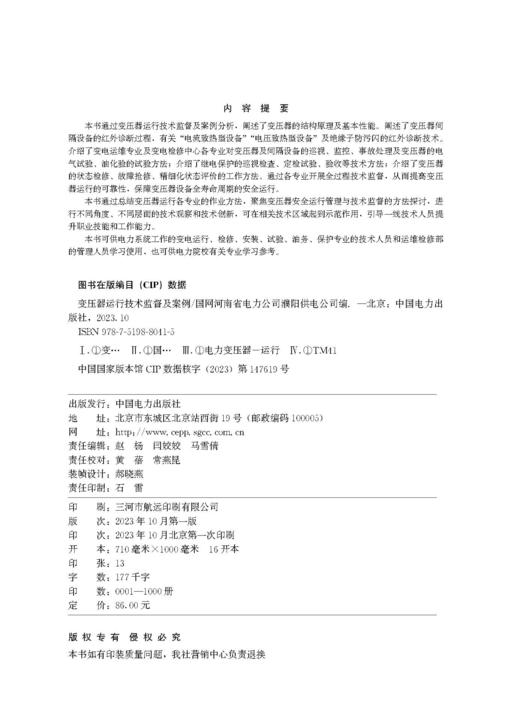 变压器运行技术监督及案例 商品图3