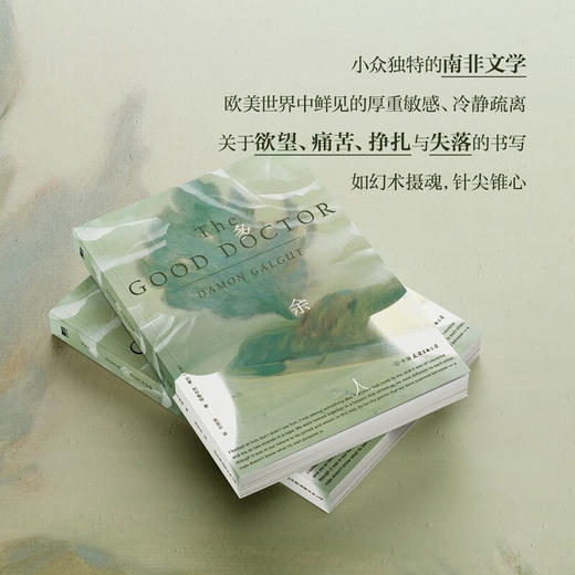 多余人 达蒙·加尔格特 著 小说 商品图2