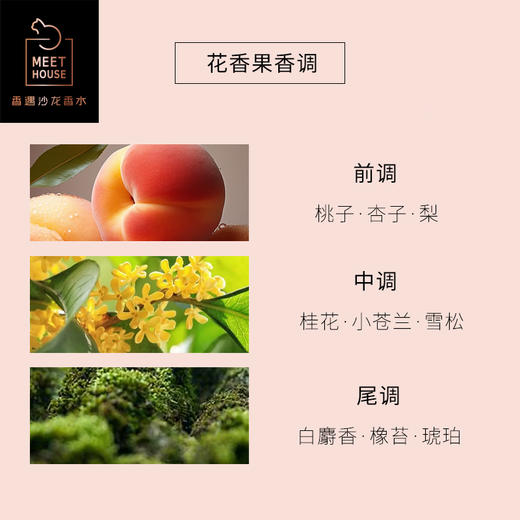 【2022自然系列新香】秋风与桂50ml 100ml 商品图1