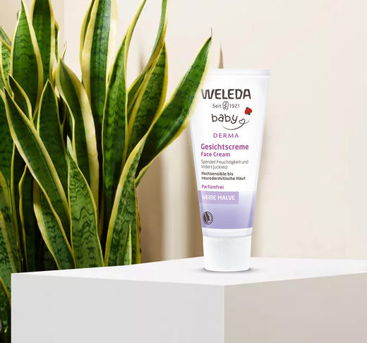 【宁波保税】WELEDA维蕾德 白锦葵婴儿敏感肌面霜 50ml 商品图1