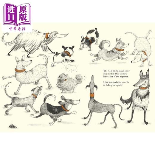 【中商原版】腊肠犬找朋友 Maria Nilsson Thore A Pack of Your Own 英文原版 儿童绘本 动物故事图画书 精装绘本 进口童书 商品图2