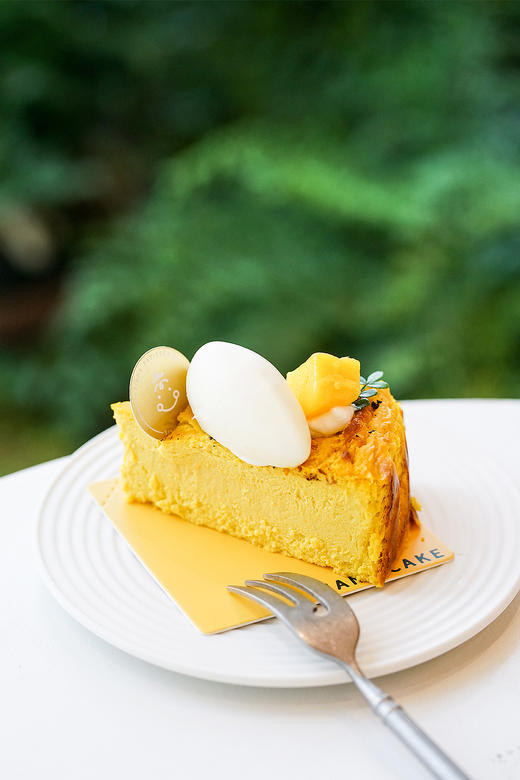 五寸南瓜巴斯克 商品图0