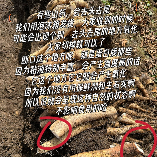 【2025新上市】【云端上的有机雪山山药】冰激凌般软糯香软 连续9年通过有机认证 生长在雅安宝兴2300米海拔的夹金山上，来之不易的高端食材 商品图3