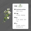 05  茉莉精油【香气005】 商品缩略图0