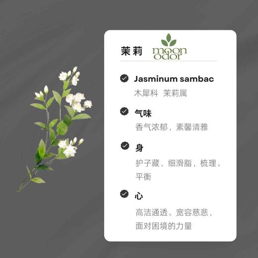 05  茉莉精油【香气005】 商品图0
