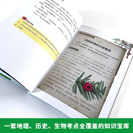 《少年探险家：中国少年成长励志书》全4册 【9-14岁】有探险，才有想象，才有挺直脊梁的好作文！ 商品图3