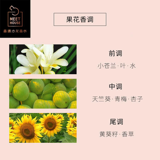 青梅煮雨 商品图1