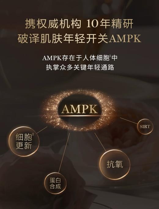 【品牌授权】兰蔻菁纯臻颜三件套装 商品图2