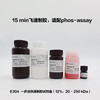 One-Step PAGE Gel Fast Preparation Kit (12%) 商品缩略图0