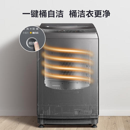 小天鹅 TB100VT818WDCLY 10公斤波轮洗衣机全自动 直驱变频 水魔方护衣防缠绕 商品图6
